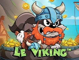 Le Viking screenshot